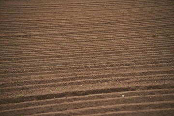 The agricultural landscape showcases the vast expanse of the field, which is prepared for farming and cultivation. The soil, rich and fertile, is the foundation for agricultural practices.