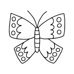 Vector cabbage butterfly coloring page. Hand drawn butterfly sketch on white background