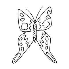 Vector peacock butterfly coloring page. Hand drawn butterfly sketch on white background