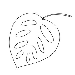 Monstera leaf doodle sketch. Hand drawn vector monstera leaf