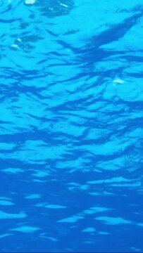 VERTICAL VIDEO, Underwater view on calm surface of blue water. Natural background with surface of blue water. Texture of blue water on surface. Close-up, Slow Motion