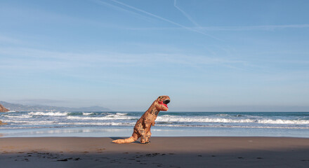 T-rex on the ocean beach in Zumaia, Spain. Dinosaur next to sea.. - 610592297
