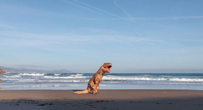 T-rex on the ocean beach in Zumaia, Spain. Dinosaur next to sea..