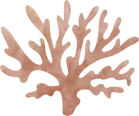 Obraz premium Watercolor cute coral