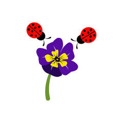 Cute print with Viola flowers and ladybugs on a white background.