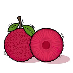 Vector design yangmei or yumberry fruit with leaves, Illustration sliced of a fruit flesh yangmei or yumberry.