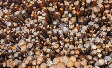 Lumber stack