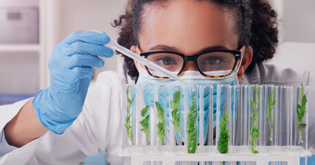 Science, biotechnology and plant with woman in laboratory for medical, pharmacy or research....