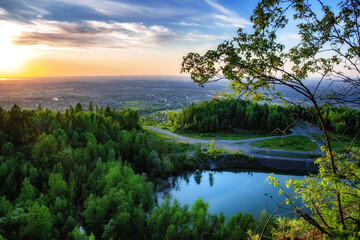 Widok z góry na drzewa i staw, panorama © Iwona