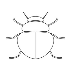 Silhouette of a beetle of the Coleoptera family on a white background.