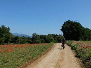 Clermont-ferrand - Forcalquier à vélo