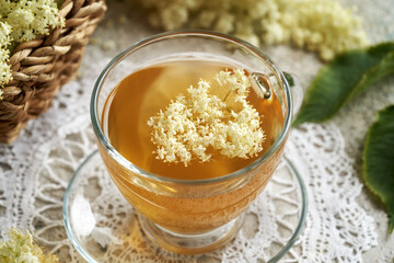 A cup of herbal tea with fresh elderberry flowers