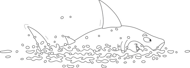 Funny hungry great white shark swimming and hunting in a tropical sea, black and white outline vector cartoon illustration for a coloring book page