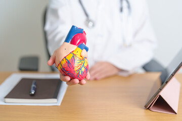 Doctor with human Heart anatomy model and tablet. Cardiovascular Diseases, Atherosclerosis,...