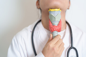 Doctor with human Thyroid anatomy model. Hyperthyroidism, Hypothyroidism, Hashimoto Thyroiditis,...