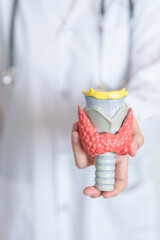 Doctor with human Thyroid anatomy model. Hyperthyroidism, Hypothyroidism, Hashimoto Thyroiditis,...