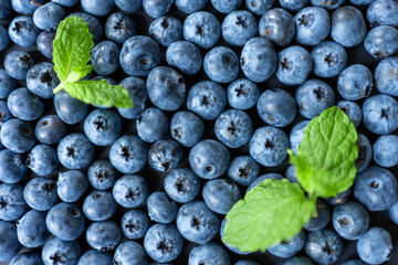 Background of blueberry berries with mint leaves