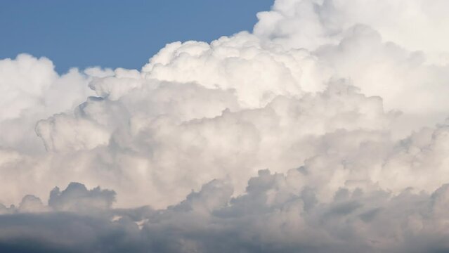 Cumulus congestus clouds forming, a precursor to cumulonimbus. Details, timelapse.