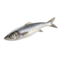 Herring Generative AI