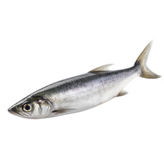 Obraz premium Herring Generative AI