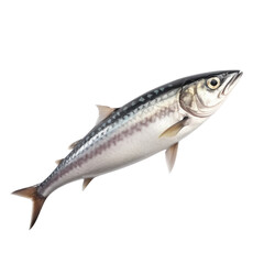 Mackerel Generative AI