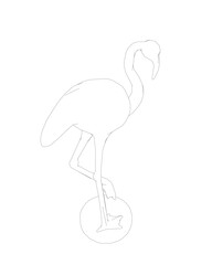 Outline flamingo vector illustration isolated on white background. Exotic tropical bird. Zoo animal collection. Cute cartoon character. Decoration element. Flat design. White background. Isolated..