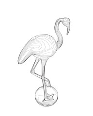 Obraz premium Outline flamingo vector illustration isolated on white background. Exotic tropical bird. Zoo animal collection. Cute cartoon character. Decoration element. Flat design. White background. Isolated..