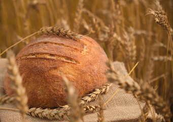 Fresh baked bread on ears of wheat background, close-up, copy space. Loaf of homemade bread. Grain...