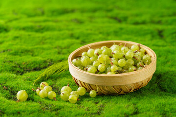 Fresh small sour berries on a natural green background