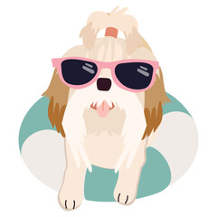 Happy shih tzu dog with sunglasses and floating ring, air mattress for summer
