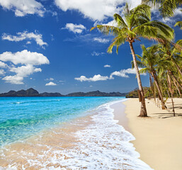 Paradise tropical beach
