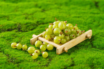 Fresh small sour berries on a natural green background