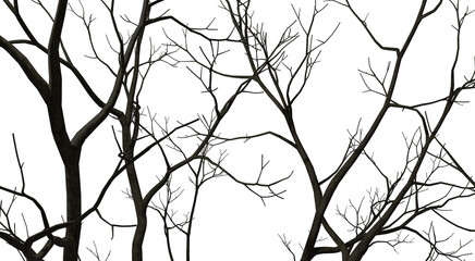 Silhouette bare trees branches forested 3d render png