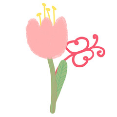 Pink tulip