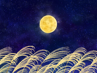 Full moon and Japanese pampas grass field drawn with digital watercolor