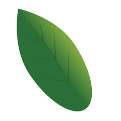 Leaf Flower Aesthetic