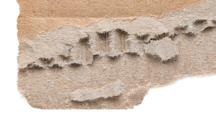 Isolated single piece of corrugated crumpled ripped blank brown cardboard paper with sharp torn edge on white or transparent background

