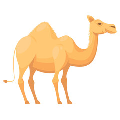 illustration of a camel standing on a white background