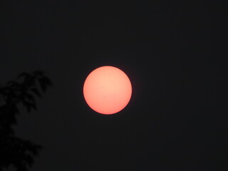 Red hazy sun amidst a smoky forest fire environment
