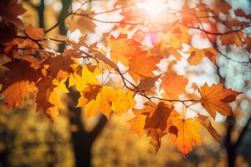 Naklejka na ściany i meble Autumn colorful bright leaves swinging in a tree. Generative ai