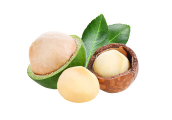 macadamia nuts isolated on transparent png - obrazy, fototapety, plakaty