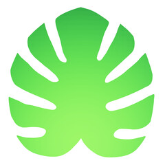 3d illustration of green monstera leaf isolated. Top view.