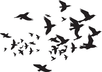 Fototapeta na wymiar Black vector flying birds flock silhouettes isolated on white background