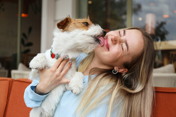Wire haired jack russell terrier licking a cheek of his joyful woman outside of the coffee shop. Young woman and her dog playing outdoors. Copy space, background. - obrazy, fototapety, plakaty