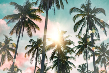 Fototapeta premium Tropical palm coconut trees on sunset sky flare and bokeh nature background.