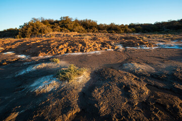 Semi desert environment landcape, La Pampa province, Patagonia, Argentina.