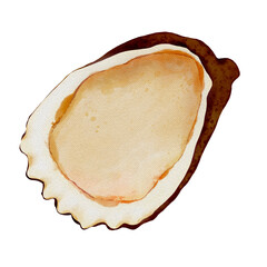 oyster
