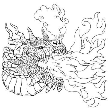 Portrait of a fire breathing dragon. Fantasy illustration with mythical creature. Dragon drawing coloring sheet.