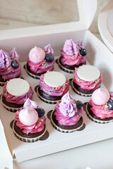 Gift cardboard box with pink cupcakes decorated with meringues and fresh blueberry with copy space for text. Present for a girl or a young woman