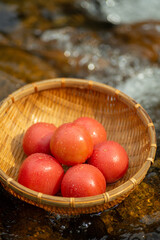 冷やした新鮮なトマト